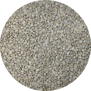 Mexican Altura Chiapas/Oaxaca - BCT Select Washed