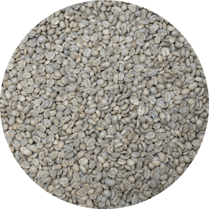 Organic Nicaraguan Segovia PRODECOOP - Fair Trade USA