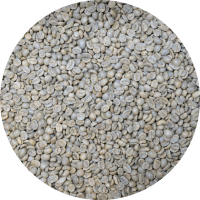 Costa Rican SHB EP Tarrazu La Pastora - Washed Processed