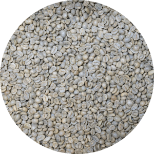 Costa Rican SHB EP Tarrazu La Pastora - Washed Processed
