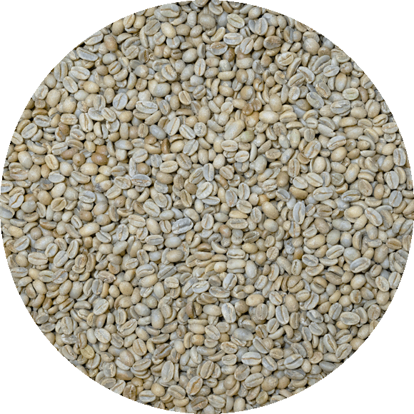Ethiopian Yirgachefe Natural Org. - Bogalech Muda Gr.1