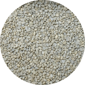 Ethiopian Yirgacheffe Washed Org. - Desta Golo Gr. 1