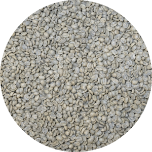 Guatemala Antigua Bella - Carmona - Washed Prosseced