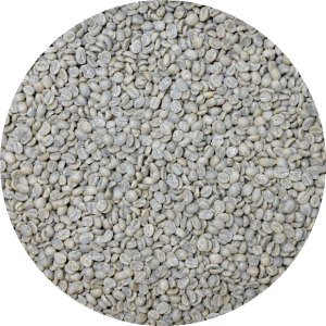 Guatemala Premium Antigua - Bella Carmona - Washed Greenhouse Dried