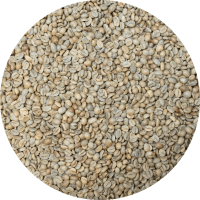 Nicaraguan Org. SHB EP Jinotega - Finca El Pastoral - Natural Processed