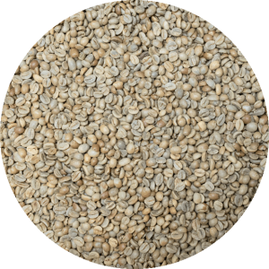 Nicaraguan Org. SHB EP Jinotega - Finca El Pastoral - Natural Processed