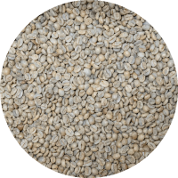 Nicaraguan Premium Selva Negra - Yellow Catuai - Natural Processed