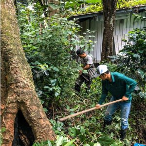 Thailand Lanna Coffee - Law Wu - Honey Processed