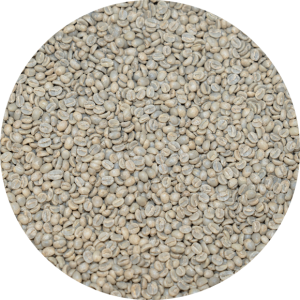 Burundi Premium Bourbon - Busasa Station - Washed Processed