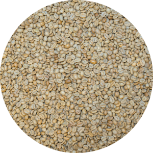 Burundi Premium Bourbon - Nyagishiru - Natural Processed