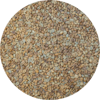 China Premium Yunnan - Torch Coffee - Black Sheep - Catimor Double Anaerobic Natural