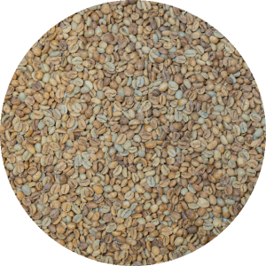 China Premium Yunnan - Torch Coffee - Black Sheep - Catimor Double Anaerobic Natural