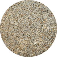 China Premium Yunnan - Torch Coffee - Menglian Red Honey