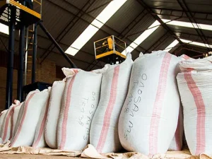 Rwanda Nyamasheke - Cotecaga Station - Bourbon Washed Processed