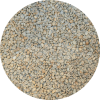 Guatemalan Premium Coban - Chichupak Washed - Top Lot