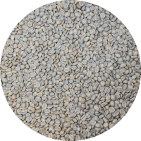 Laos Premium Torch Coffee - Washed Processed
