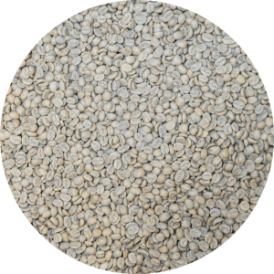 Rwanda Nyamasheke - Cotecaga Station - Bourbon Washed Processed