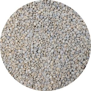 Thailand Lanna Coffee - Huay Hom - Washed Processed