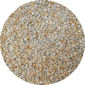 Thailand Lanna Coffee - Law Wu - Natural Processed
