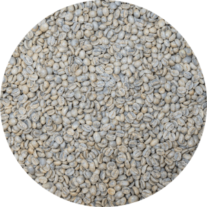 Thailand Lanna Coffee – Huay Mak - Washed Processed