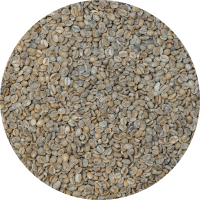 Yemen Mocca - Pearl of Tehama - Lot 84 Natural