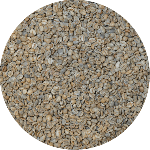 Yemen Mocca - Pearl of Tehama - Lot 84 Natural