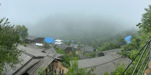 law wu village