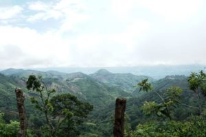 El Salvador Premium Chalatenango - Finca La Vegona- Pacamara Natural