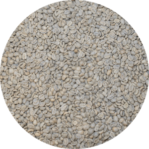 Colombian Org. SMBC EP - Washed Processed