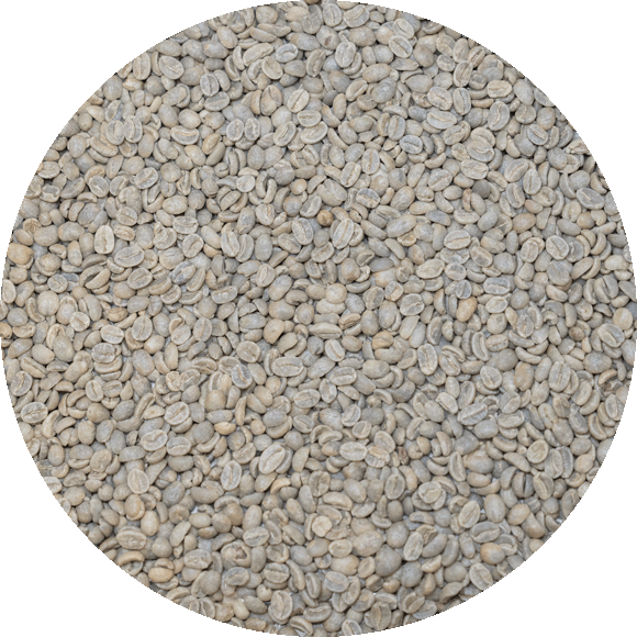 Colombian Org. SMBC EP - Washed Processed