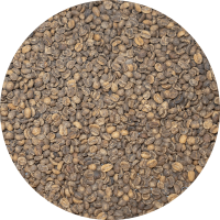 Decaffeinated Honduran Org. Maya FTO Royal Select - MWP