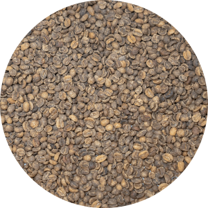 Decaffeinated Honduran Org. Maya FTO Royal Select - MWP