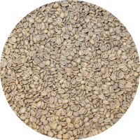 Decaffeinated Peru Org. Norandino FTO Royal Select SWP