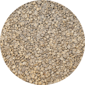 Decaffeinated Peru Org. Norandino FTO Royal Select SWP