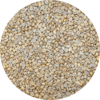 El Salvador Premium Apaneca - Finca Ethiopia - Gesha Natural Processed