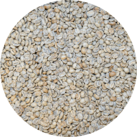 El Salvador Premium Chalatenango - Finca La Vegona- Pacamara Honey