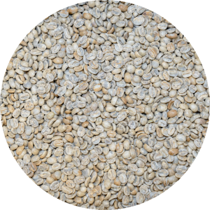 El Salvador Premium Chalatenango - Finca La Vegona- Pacamara Honey