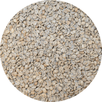 El Salvador Premium Chalatenango - Finca Peña Redonda Pacamara Washed