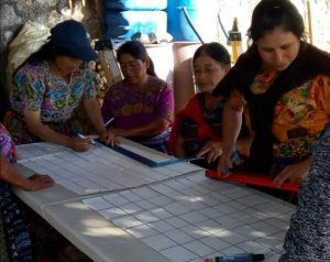 Guatemalan Org. Huehuetenango SHB - ASOPCE Washed