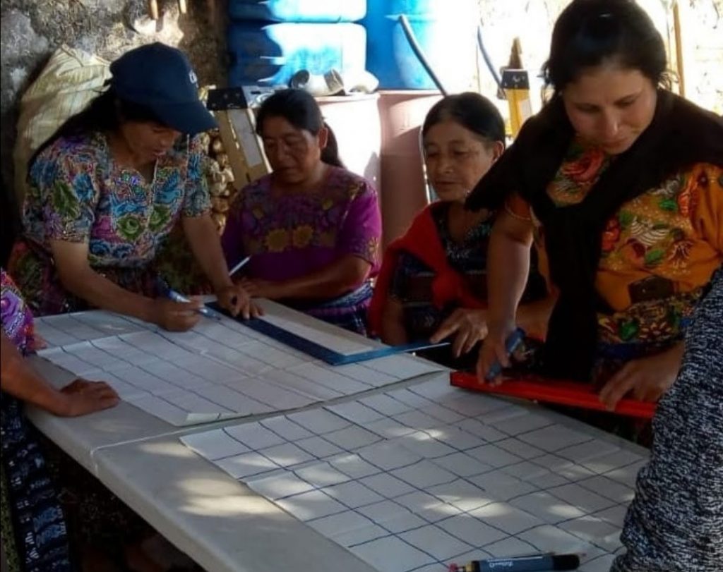 Guatemalan Org. Huehuetenango SHB - ASOPCE Washed