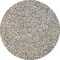 Guatemalan Org. Huehuetenango SHB - ASOPCE Washed