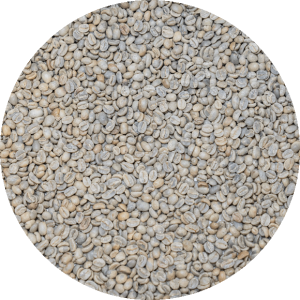 Guatemalan Org. Huehuetenango SHB - ASOPCE Washed