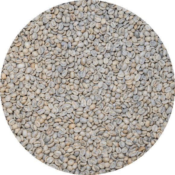 Guatemalan Org. Huehuetenango SHB - ASOPCE Washed