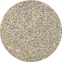 Guatemalan Premium Huehue. - Jorge Mendez - El Panal