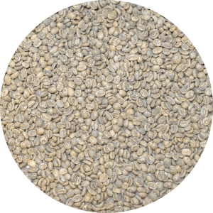 Guatemalan Premium Huehue. - Jorge Mendez - El Panal