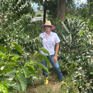 El Salto - Finca Camiseta