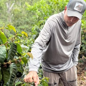 Panama Premium Boquete - Finca La Alqueria - Pacamara Washed Processed