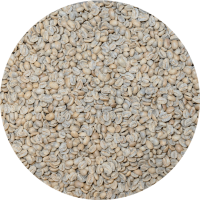 Panama Boquete Finca Las Brumas Pacamara Honey SHB EP (New)