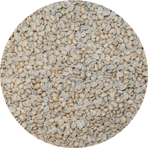 Panama Boquete Finca Las Brumas Pacamara Honey SHB EP (New)