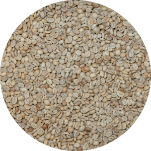 Panama Premium Boquete - Damarli Estate - Catuai Natural Processed